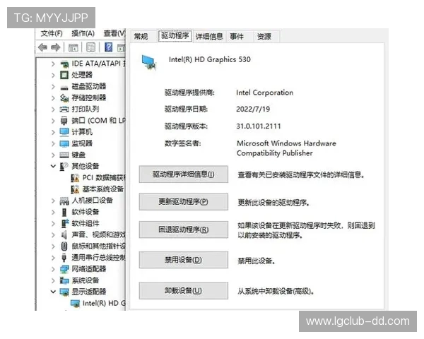 英伟达显卡拍照与游戏不适配问题解决方案分析与应对措施